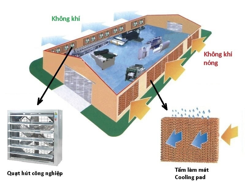 Mô hình nhà xưởng sử dụng hệ thống làm mát áp suất âm
