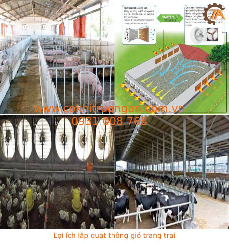 lợi ích khi lắp quạt thông gió trang trại